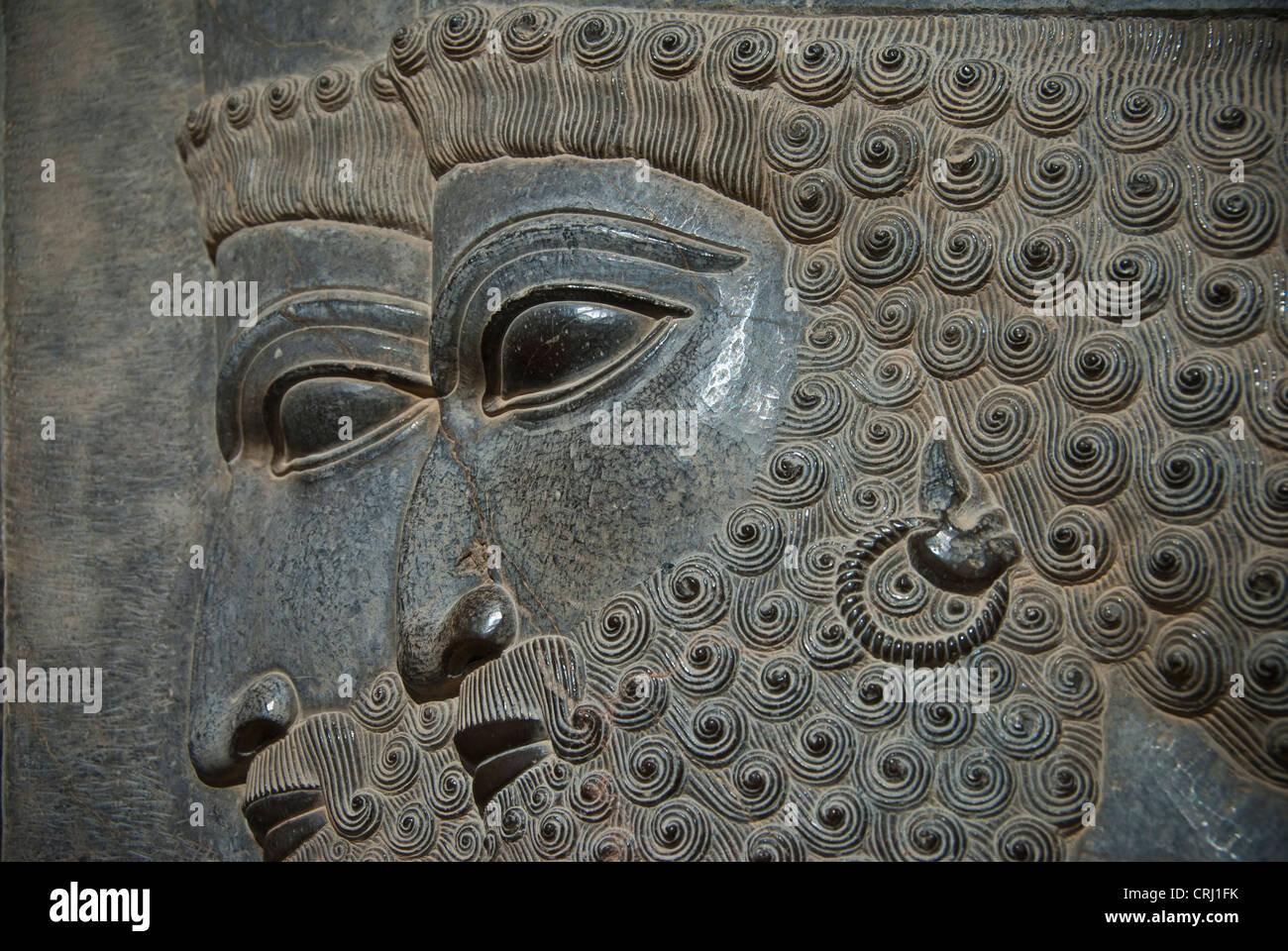 سربازان پارسی در تخت جمشید