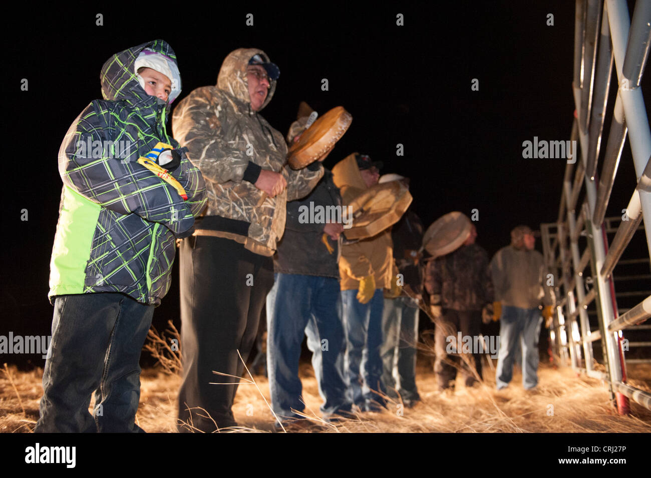 Bison return to Ft. Peck Stock Photo