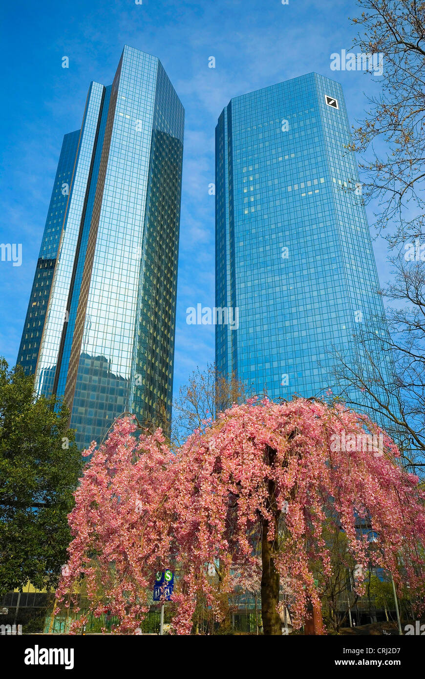 German Bank, Deutsche Bank in Frankfurt am Main, Germany, Hesse, Frankfurt/Main Stock Photo