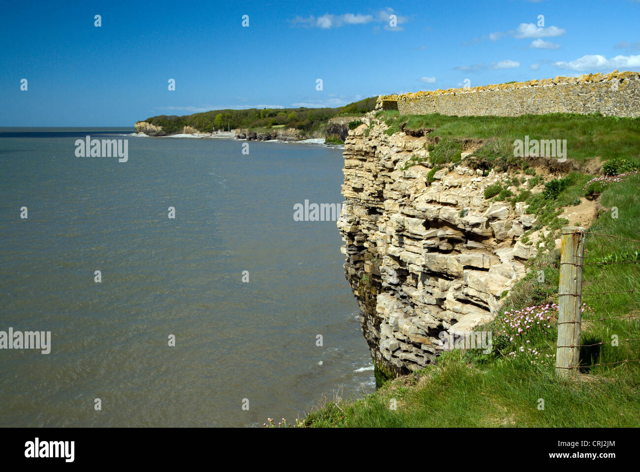 Cliff scene, St Donats, Llantwit Major, Glamorgan Heritage Coast, Vale of Glamorgan, South Wales. Stock Photo