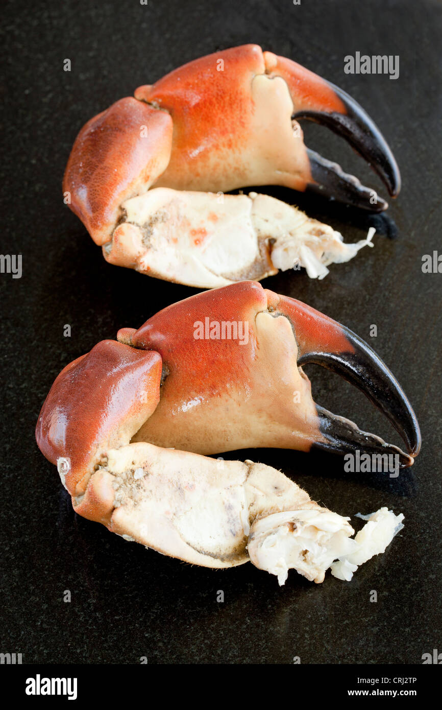 Crab crabs claw claws hires stock photography and images Alamy