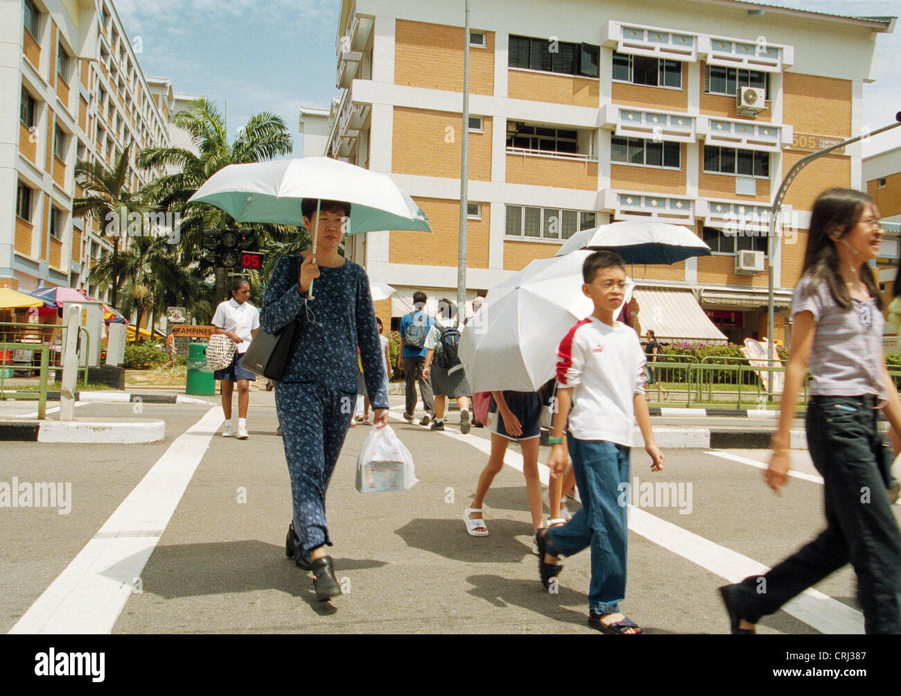 Pedestrians with umbrellas cross a street in Singapore Stock Photo - Alamy