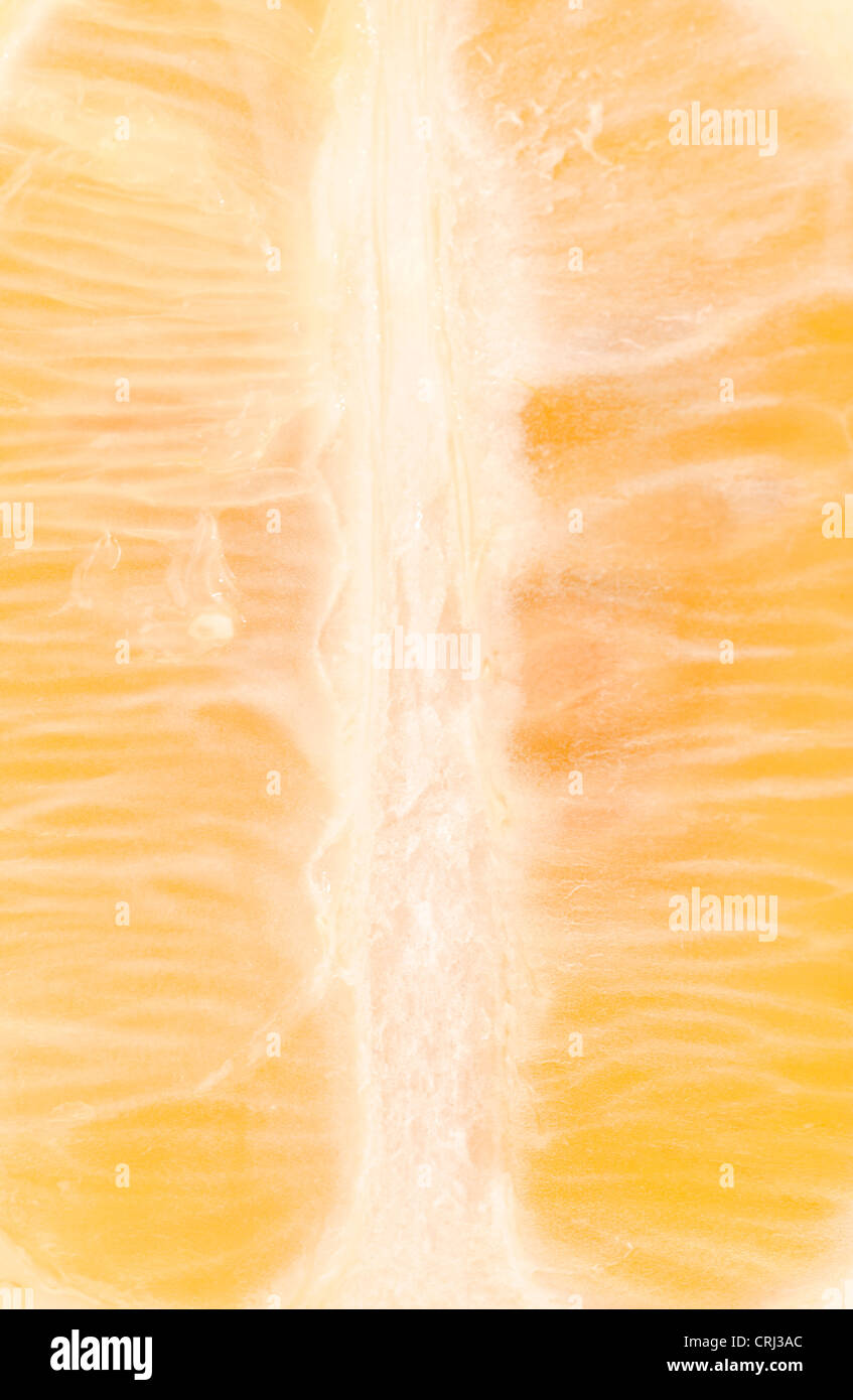 Close up of a lemon slice. Lemons are rich in vitamin c and are