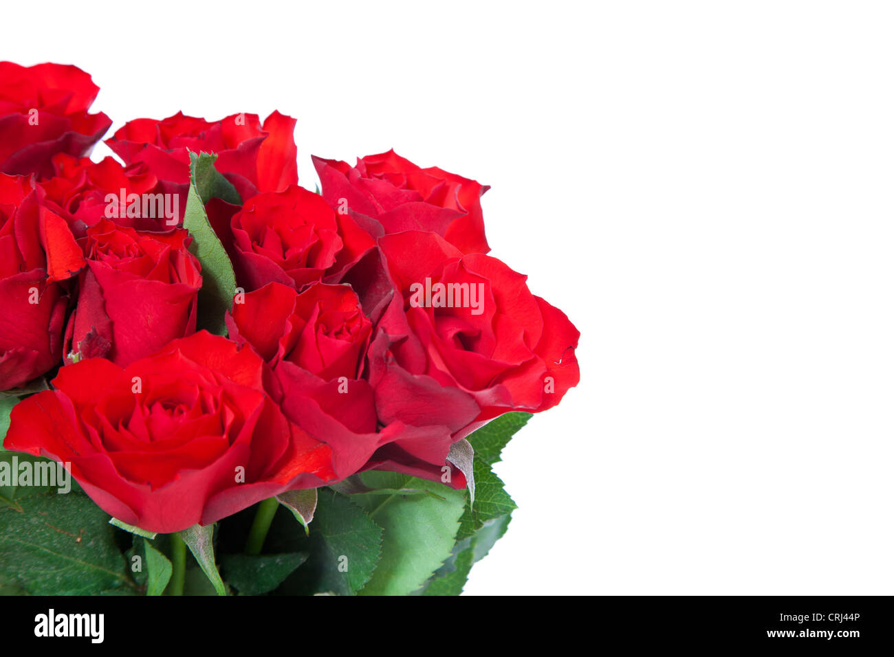 Bunch of red roses. All on white background Stock Photo - Alamy