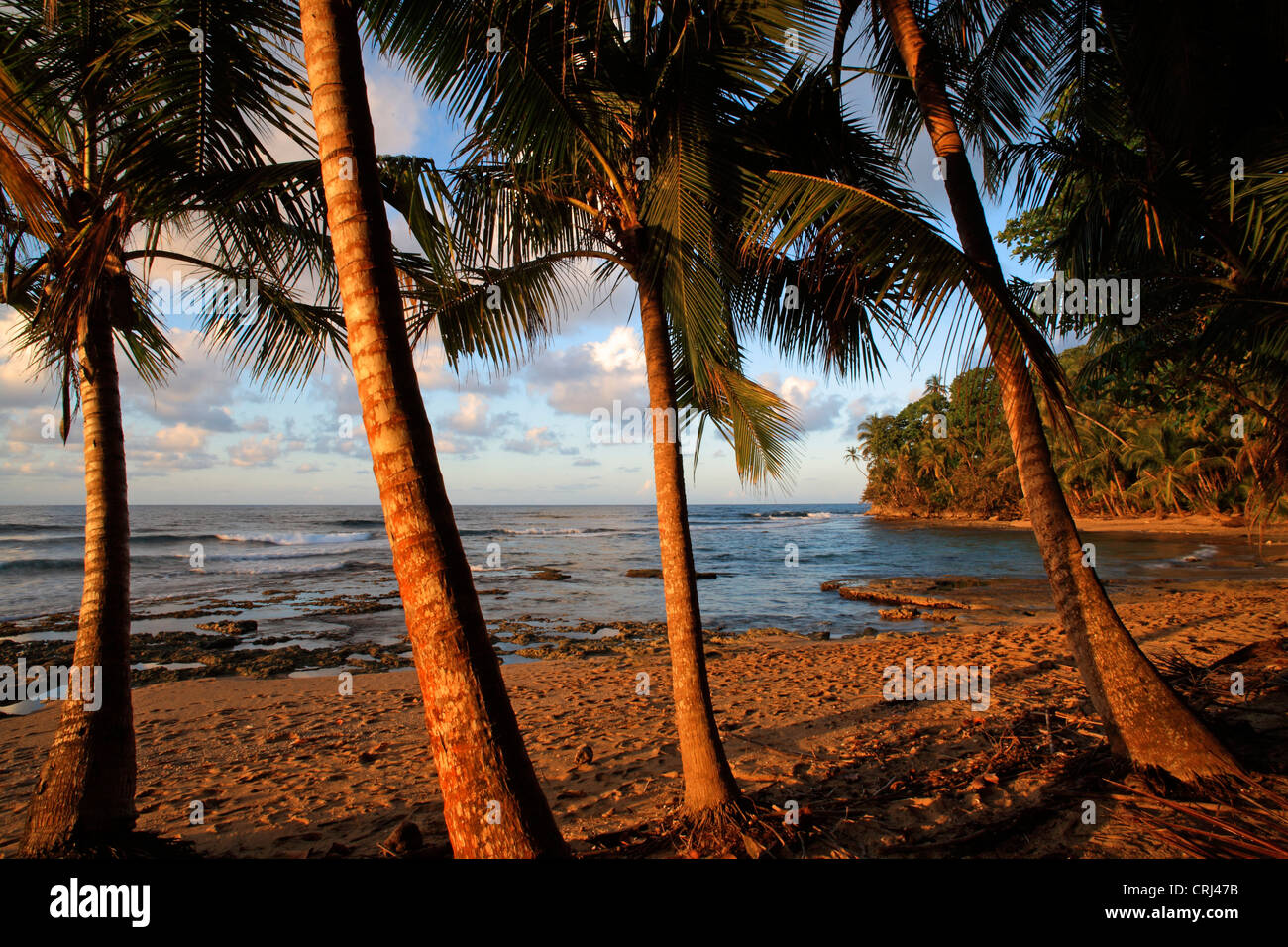 Gandoca Manzanillo Wildlife Refuge Hi-res Stock Photography And Images 