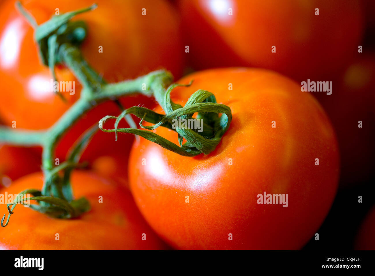 Antioxidant Cancer Cataract Food Food stuff Foodstuff Fresh Fruit Heart