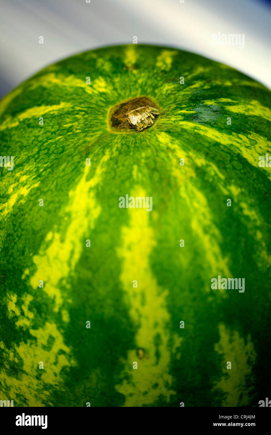 Citrullus lanatus Close Up Close-up Closeup Diet Food Foodstuff Foodstuffs Fresh Fresh fruit Fruit Green Healthy Melons Polyphen Stock Photo
