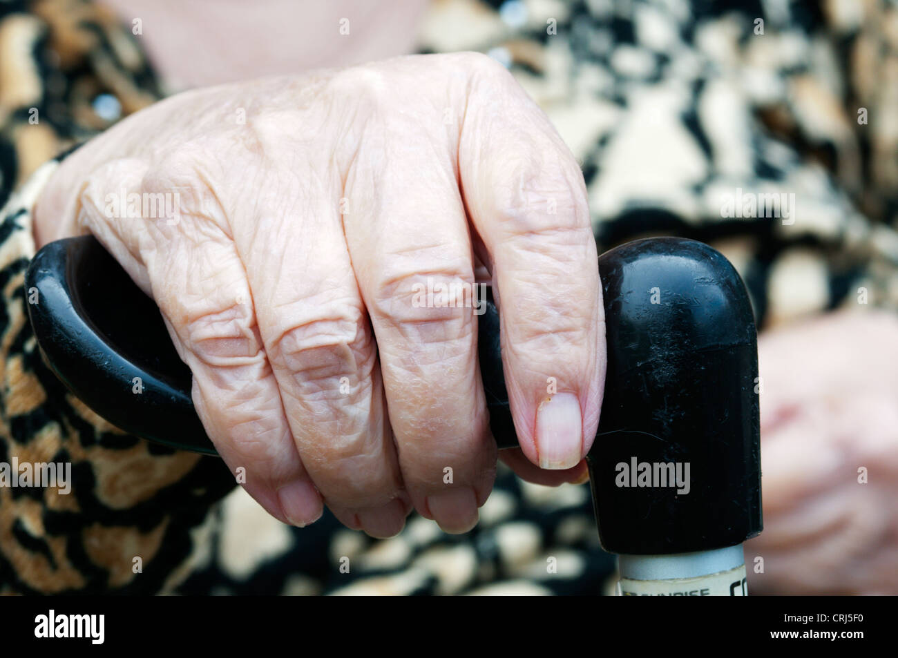 An elderly lady holds the handle of a walking stick.  See HRTH1X for monochrome version. Stock Photo