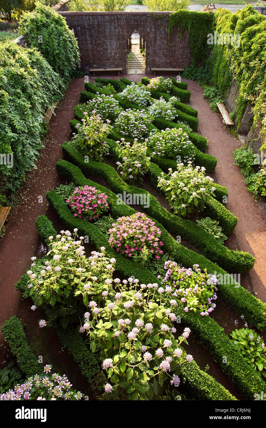 flowerbeds on former industrial ground in the landscape park Duisburg North, Germany, North Rhine-Westphalia, Ruhr Area, Duisburg Stock Photo