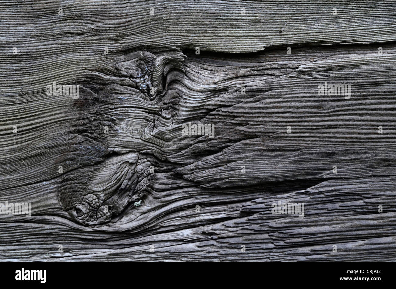 Close detail of weathered wooden shingle. Old wood texture. Stock Photo