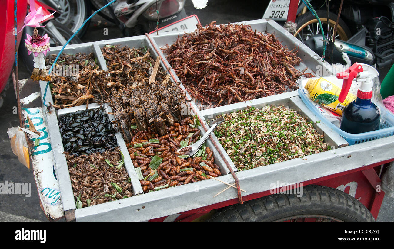 Weird insects hi-res stock photography and images - Alamy