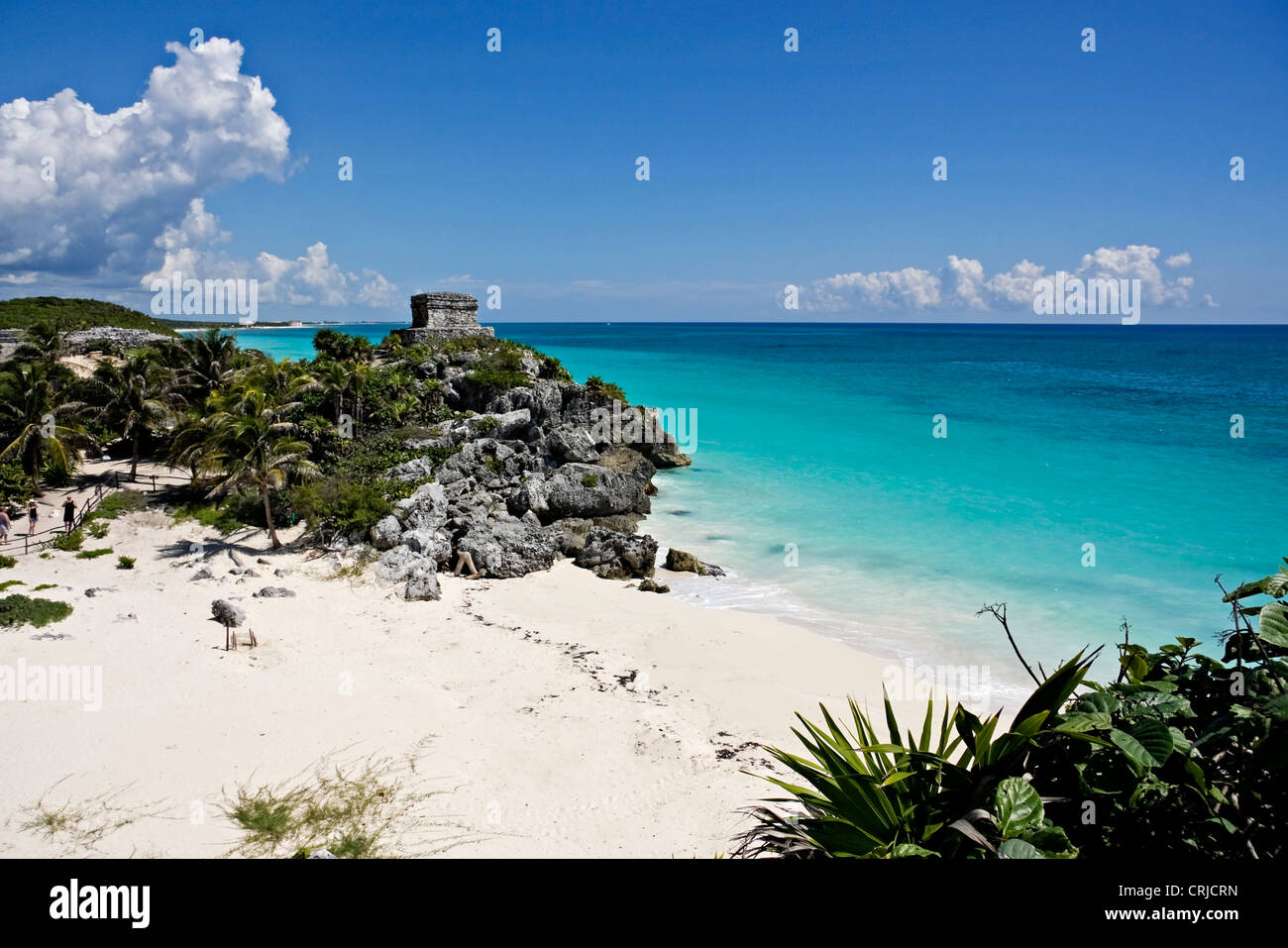 Portrait photo of the beach at Tulum, Mexico, on a sunny day. Stock Photo
