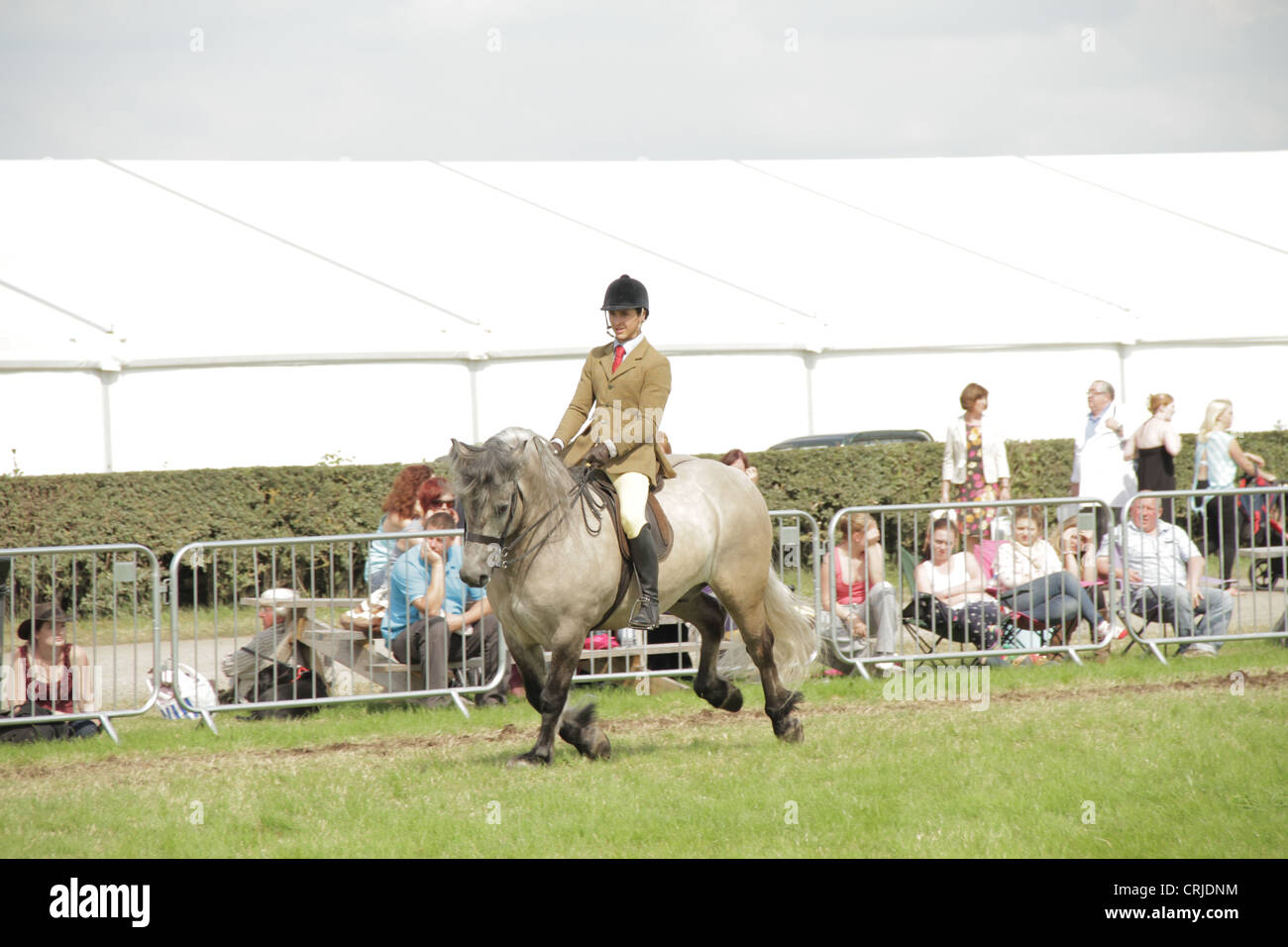 Horse riding Cheshire Show Stock Photo Alamy