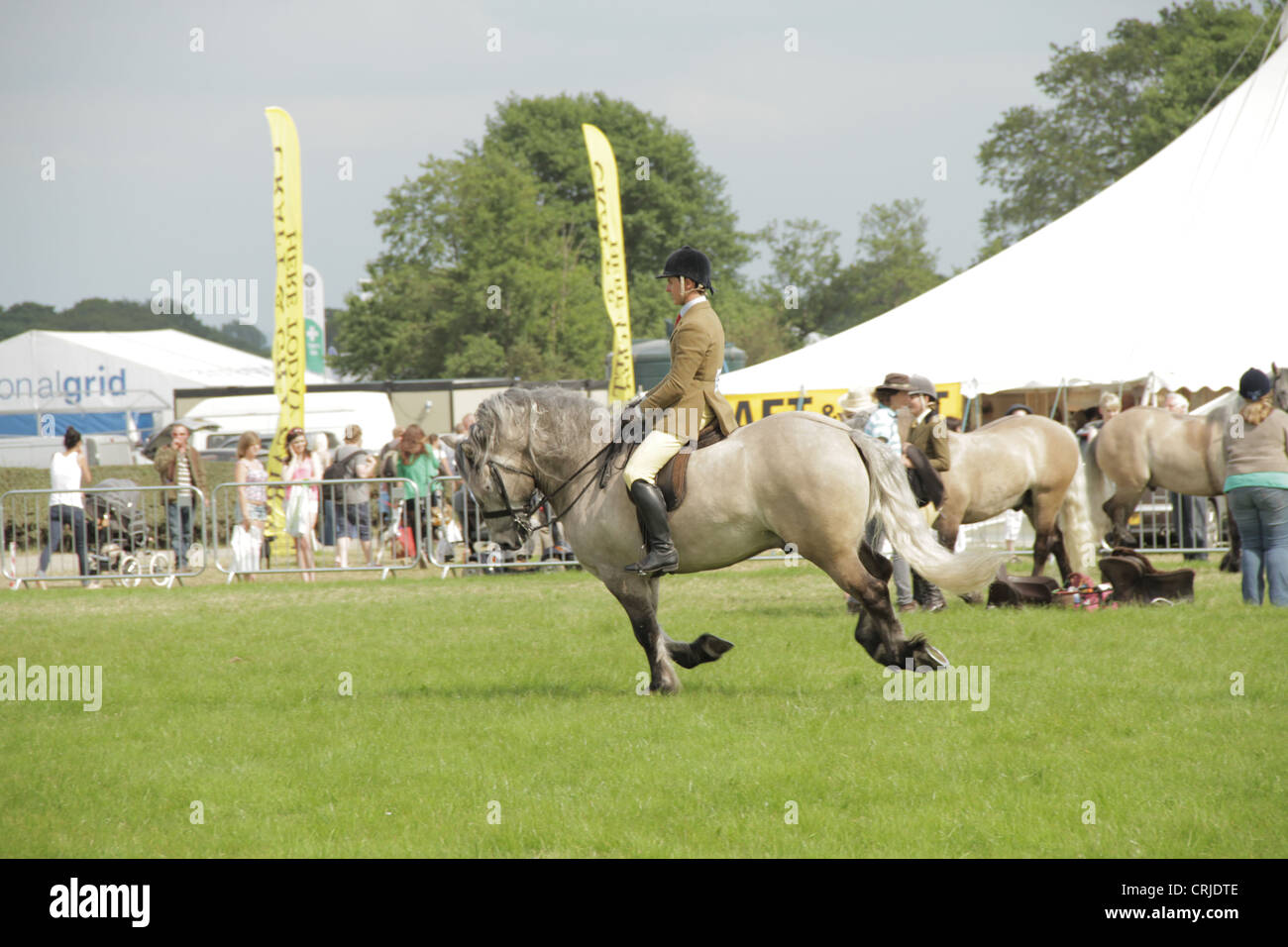 Horse riding cheshire hires stock photography and images Alamy
