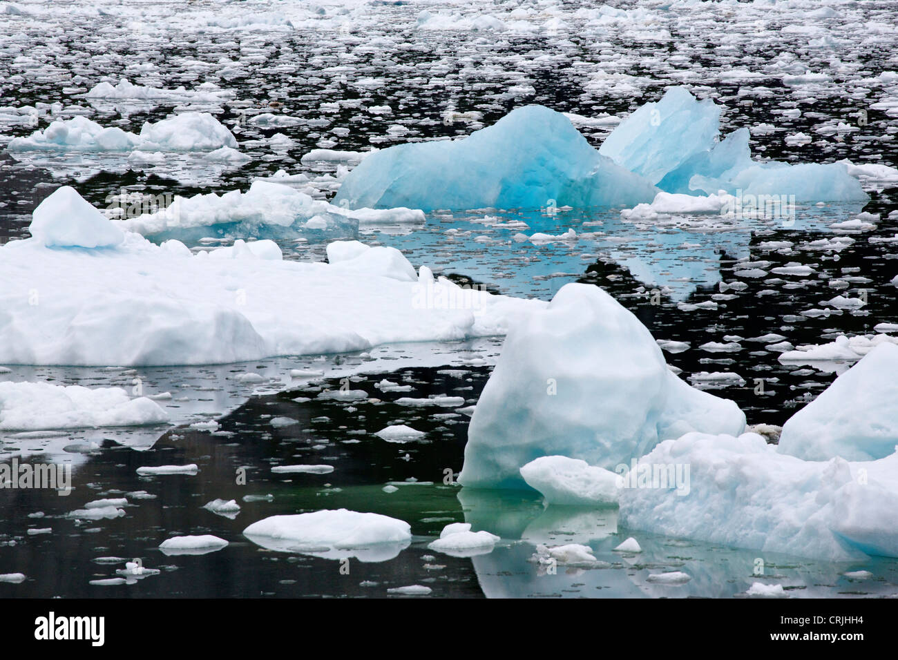 Growler and bergy bit sized icebergs Tracy Arm southeast Alaska Stock Photo Alamy