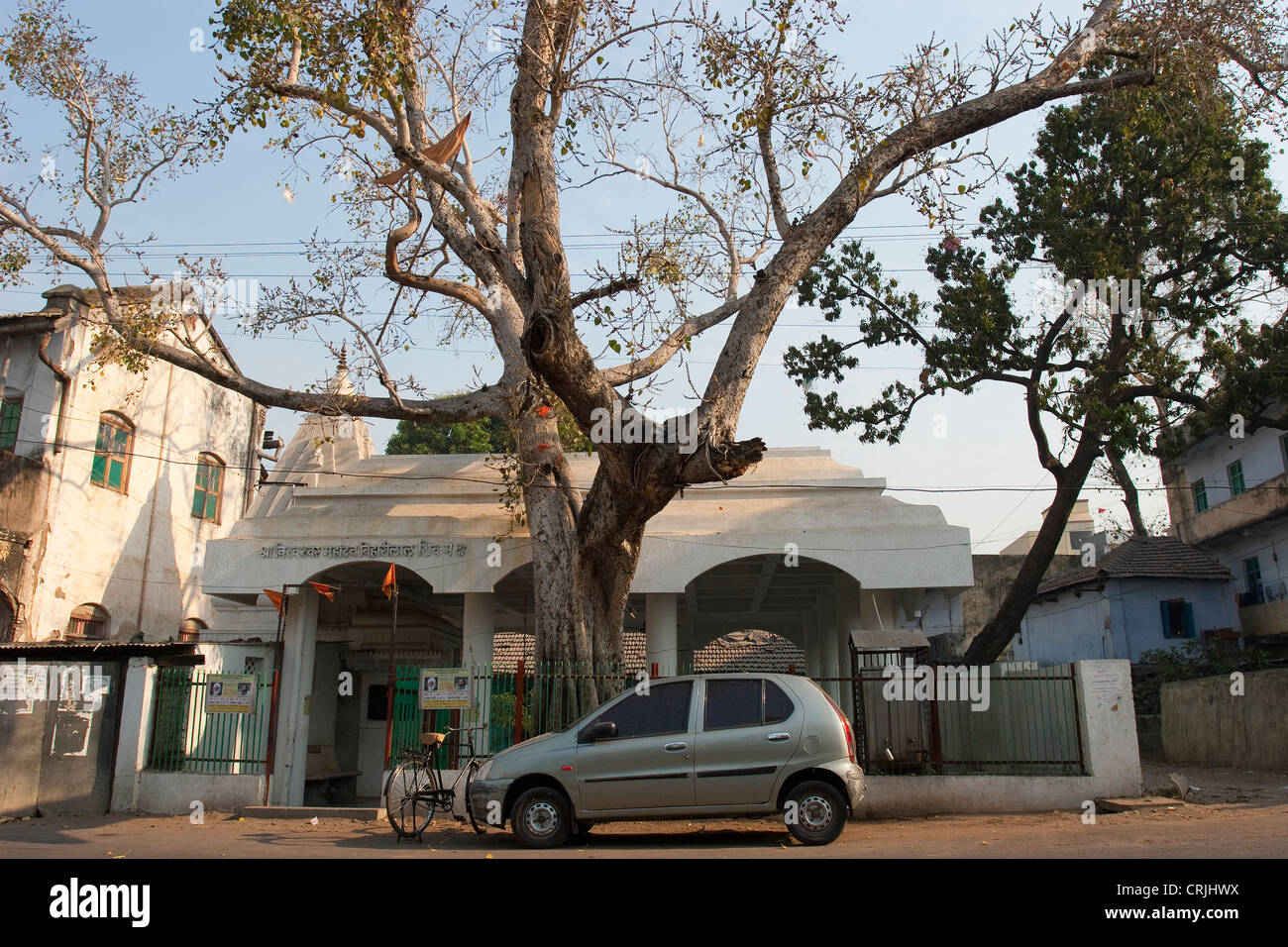Hindu temple with sacred Bodhi tree (Ficus religiosa) and a modern car (Maruti Suzuki Alto). Nagpur city,  Maharashtra, India. Stock Photo