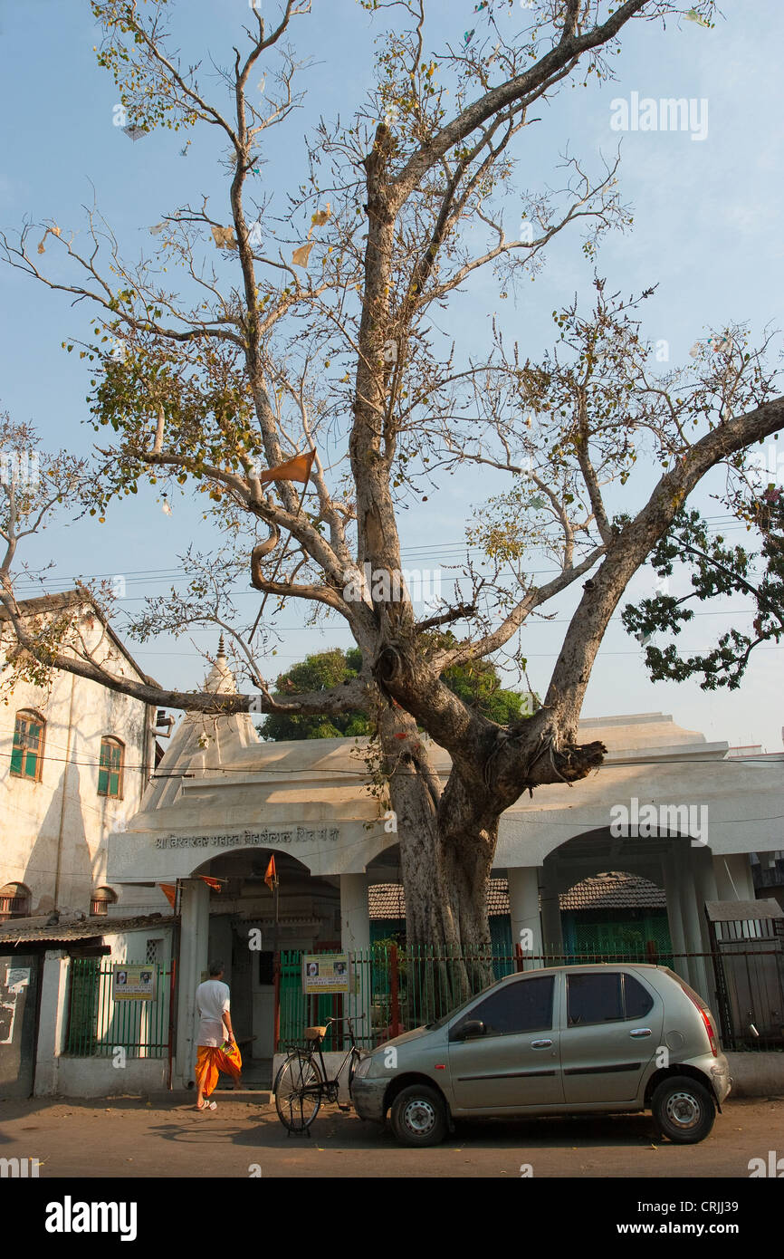 Hindu temple with sacred Bodhi tree (Ficus religiosa) and a parked modern car (Maruti Suzuki Alto). Nagpur city, India. Stock Photo