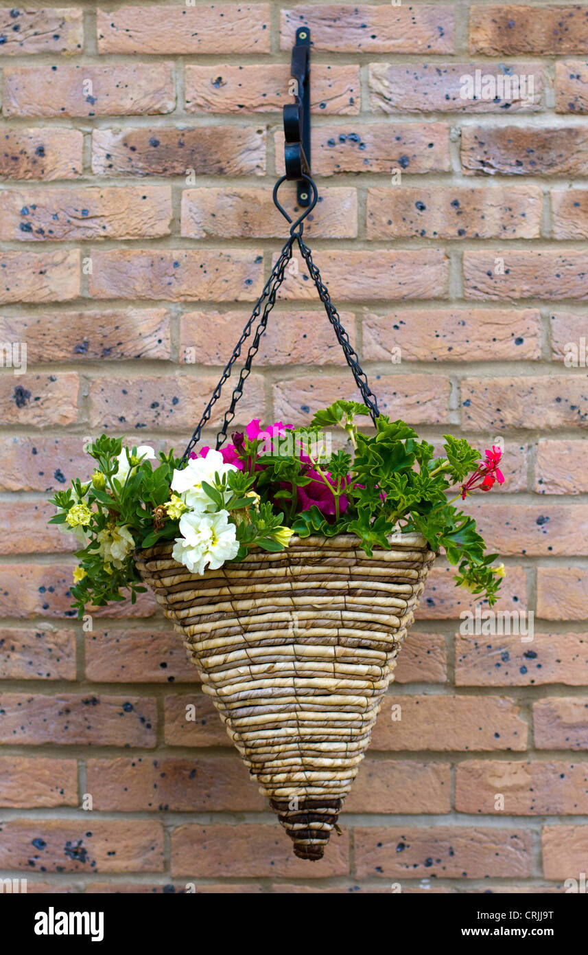 hanging basket against a brick wall Stock Photo