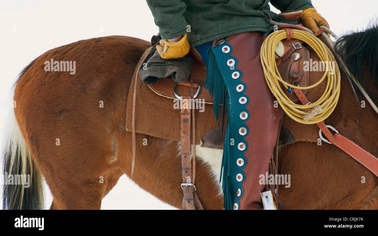 North America; USA; Wyoming; Shell; Cowboy on Horse wearing Leather Chaps; (MR) Stock Photo