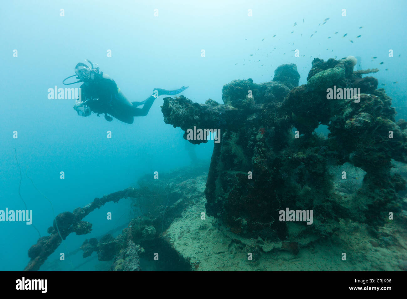 Scuba diver exploring the deck gun on the stern on the wreck of the Chuyo Maru Stock Photo