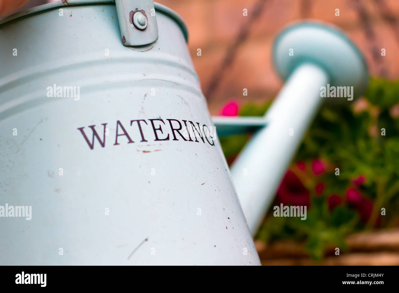green metal watering can over a hanging basket Stock Photo Alamy