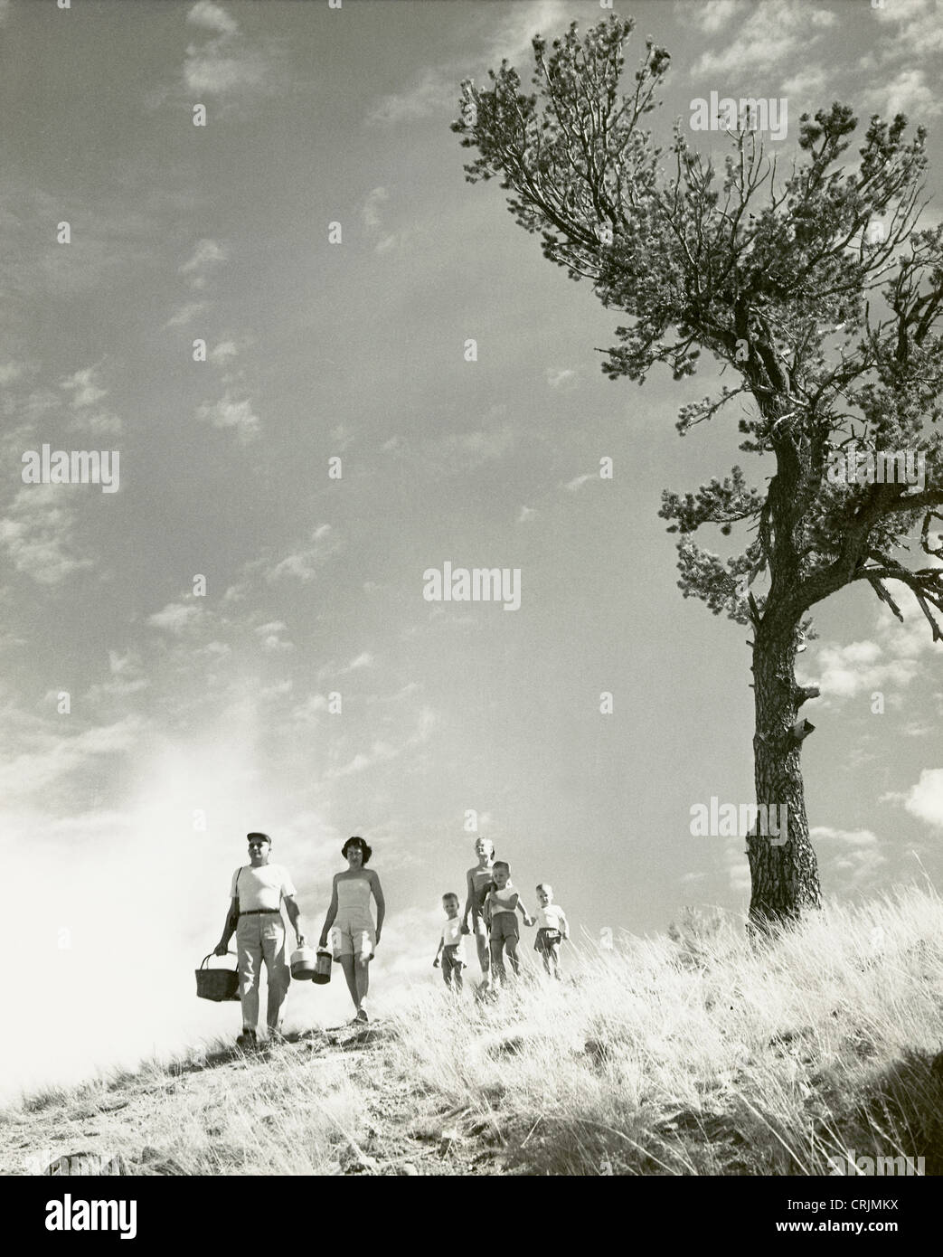 Family going on a picnic Stock Photo Alamy