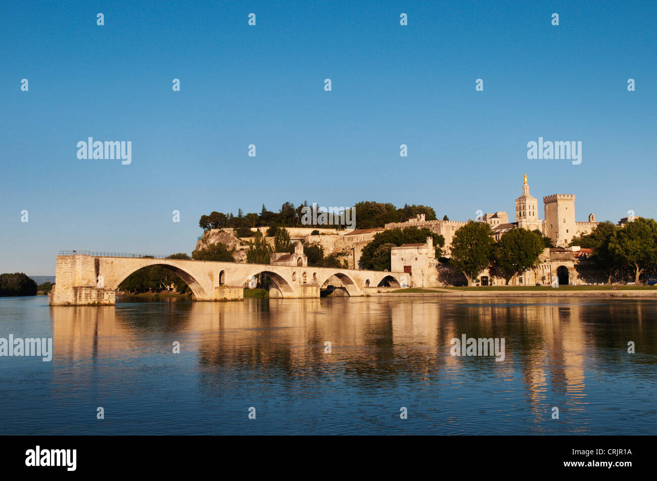 river Rh�ne with Pont St. B�n�zet, Palais des Papes and cathedral Notre Dame, France, Provence-Alpes-C�te d�Azur, Avignon Stock Photo