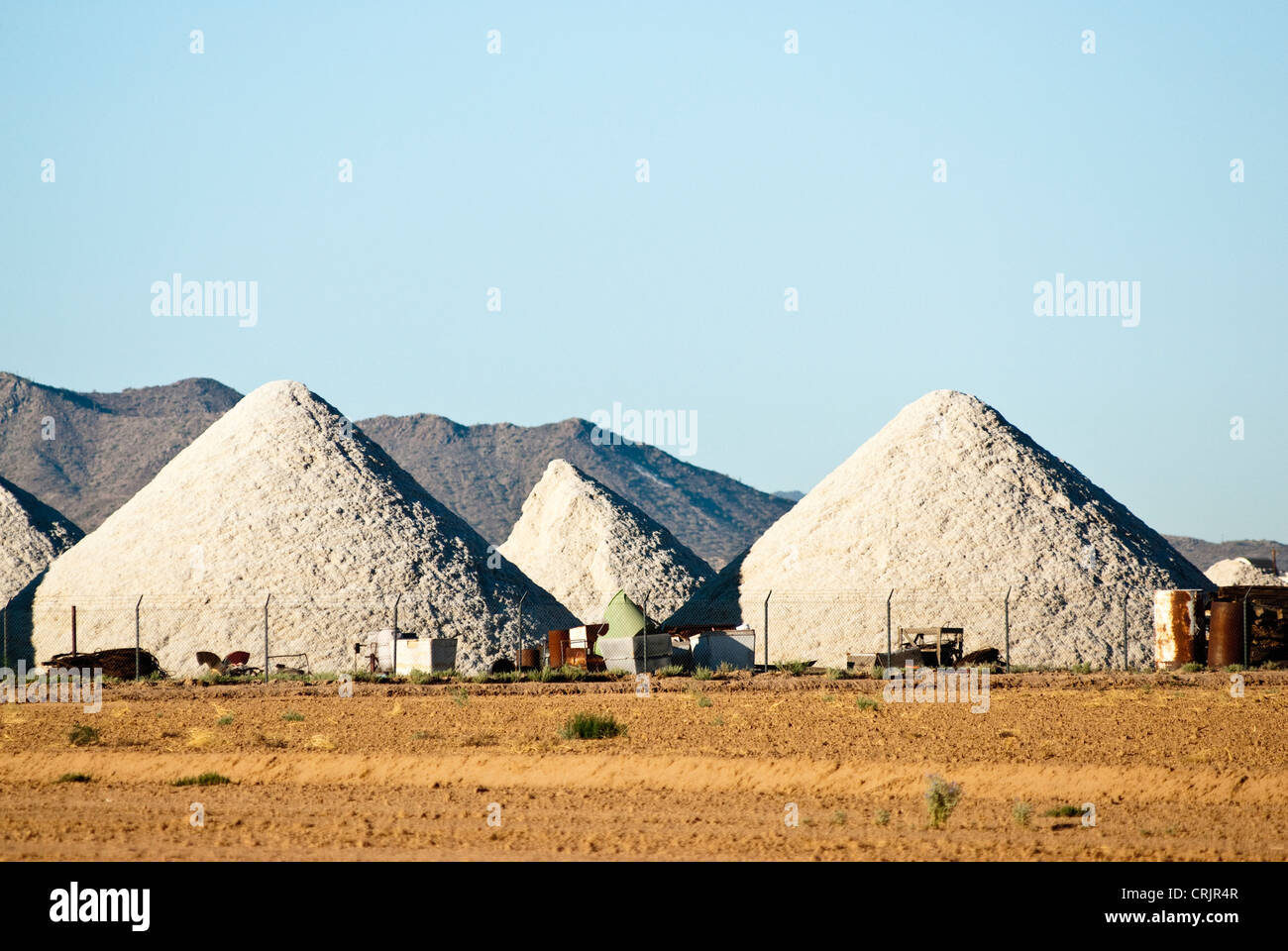 Processed cotton hires stock photography and images Alamy