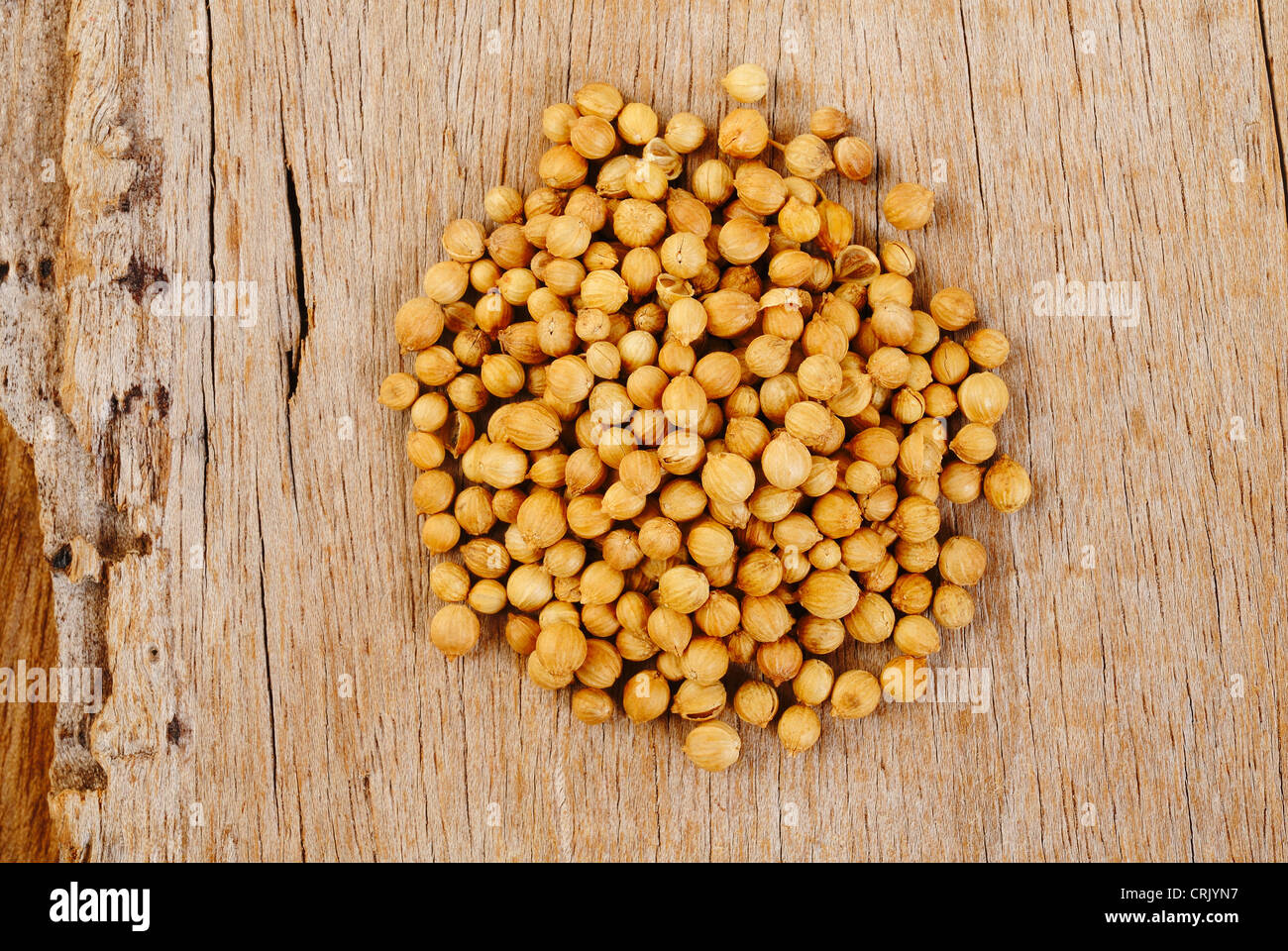 coriander seeds on wood background Stock Photo