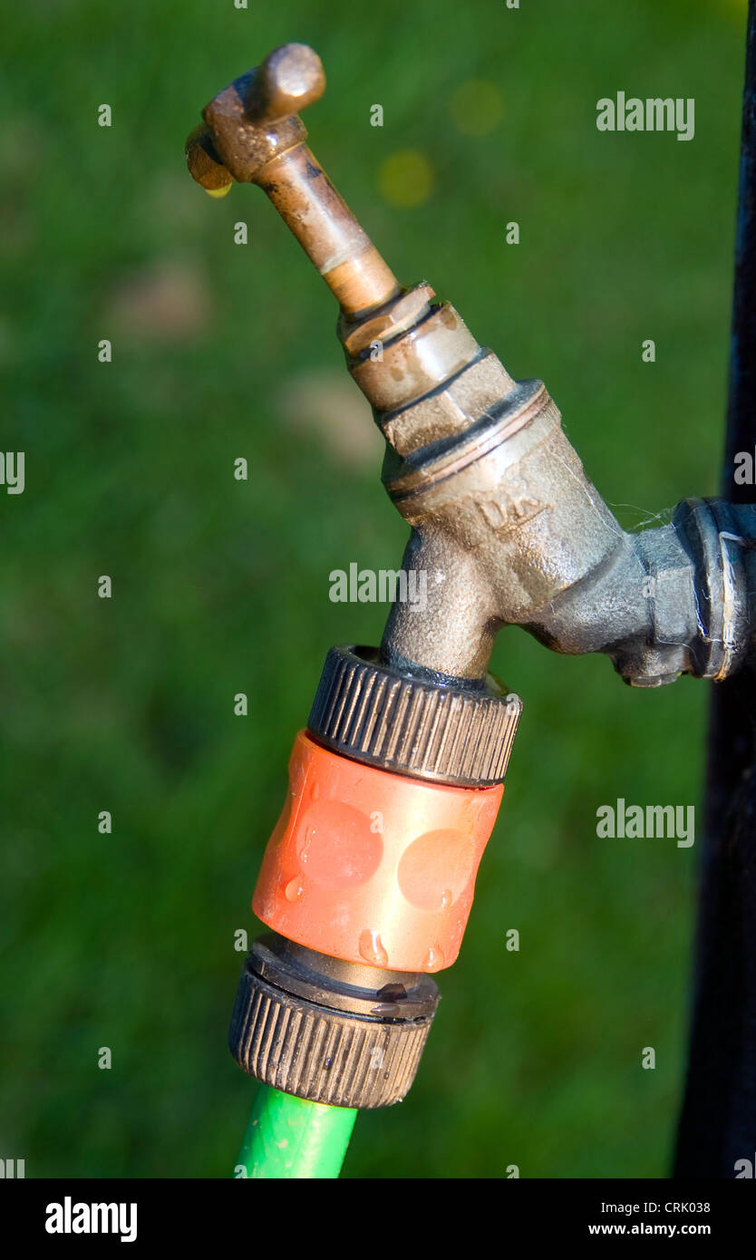Hosepipe on a tap Stock Photo