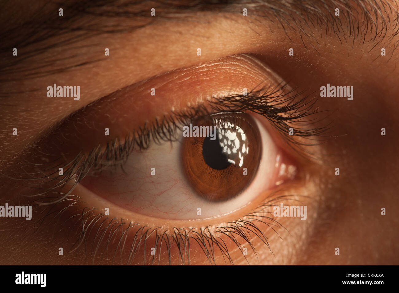 Brown human eye close up with detailed structure of iris pupil eyelid
