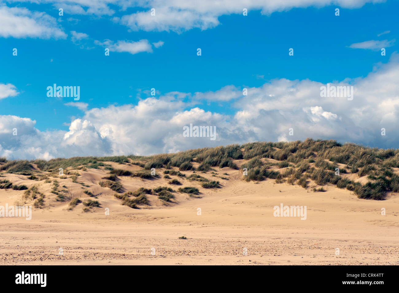 The sand dunes at Camber Sands beach, Camber, Rye, East Sussex, UK Stock Photo