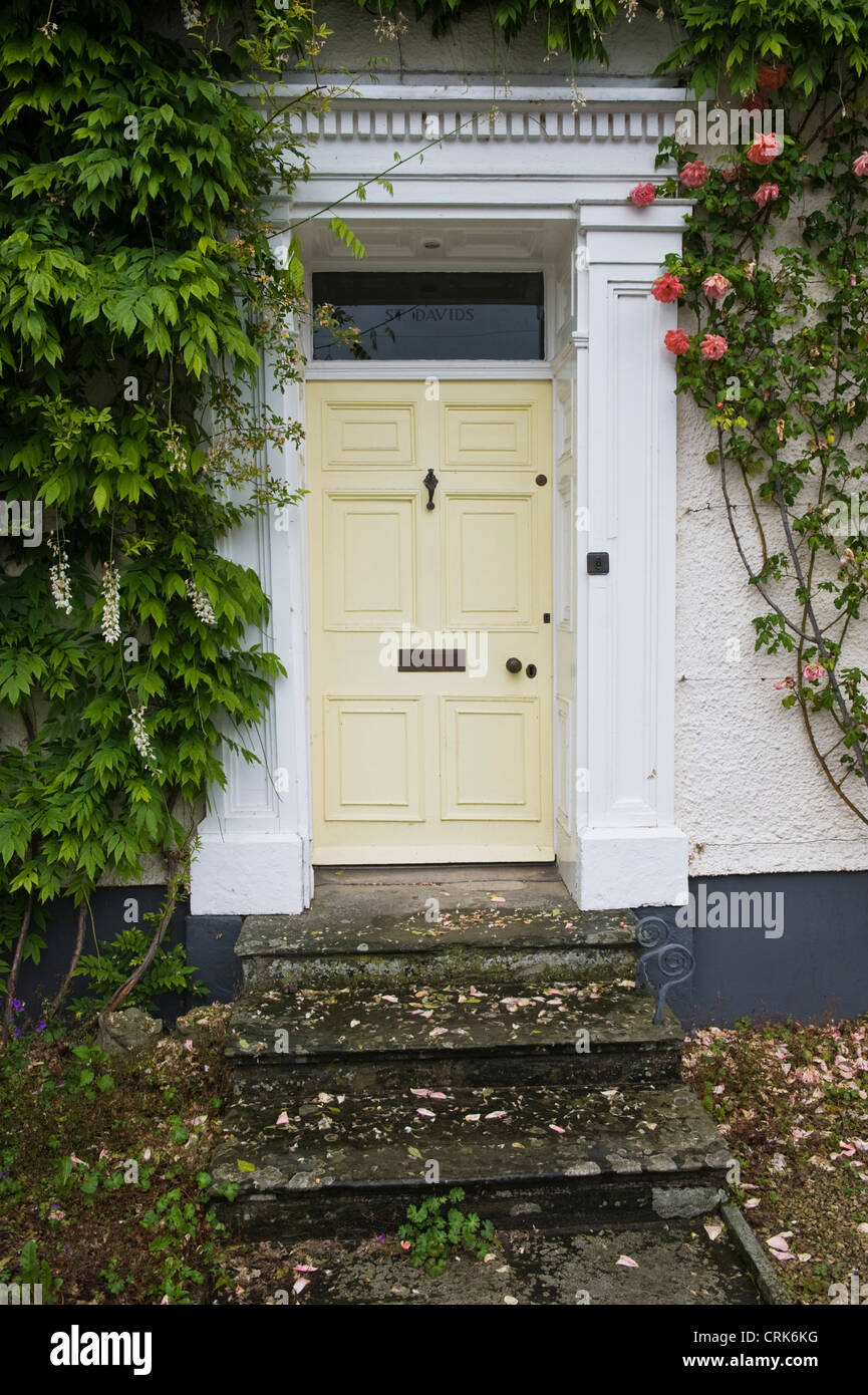 Front door of period house surrounded by climbing plants in Presteigne Powys Mid-Wales UK Stock Photo