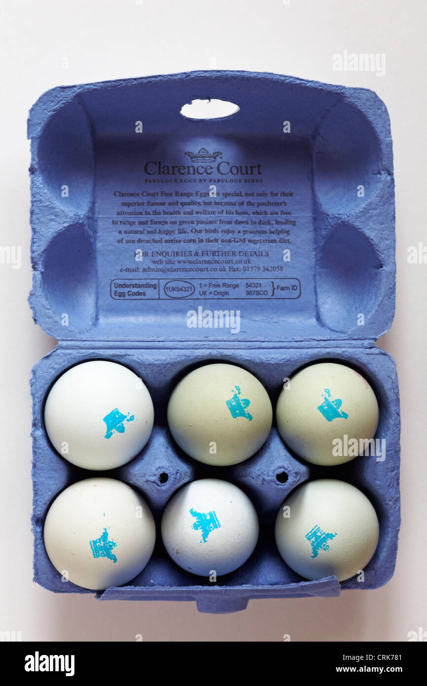 Carton of Clarence Court Old Cotswold Legbar 6 Free Range eggs with