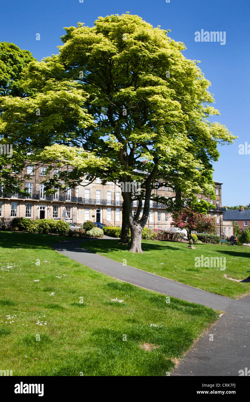 Houses in The Crescent Scarborough North Yorkshire England