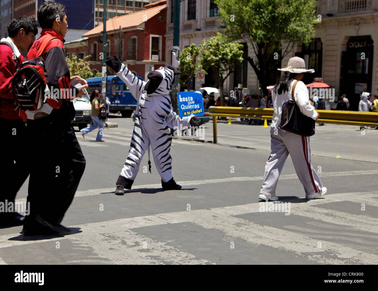 Bolivian Traffic Zebras helping you to cross the road safely in La Paz, Bolivia, South America Stock Photo