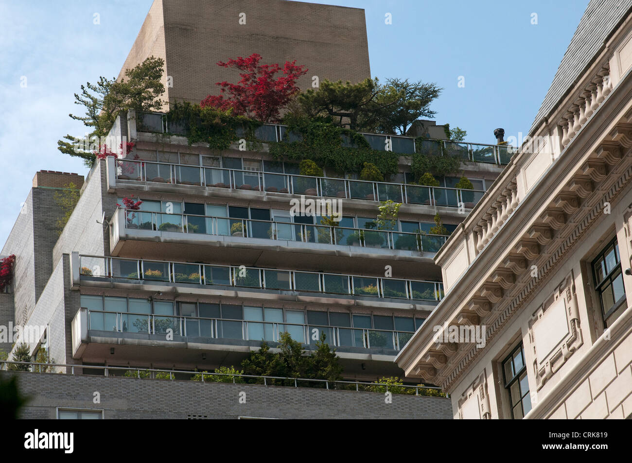 Apartment block with trees growing on the rooftop balcony Madison Ave New York USA Stock Photo