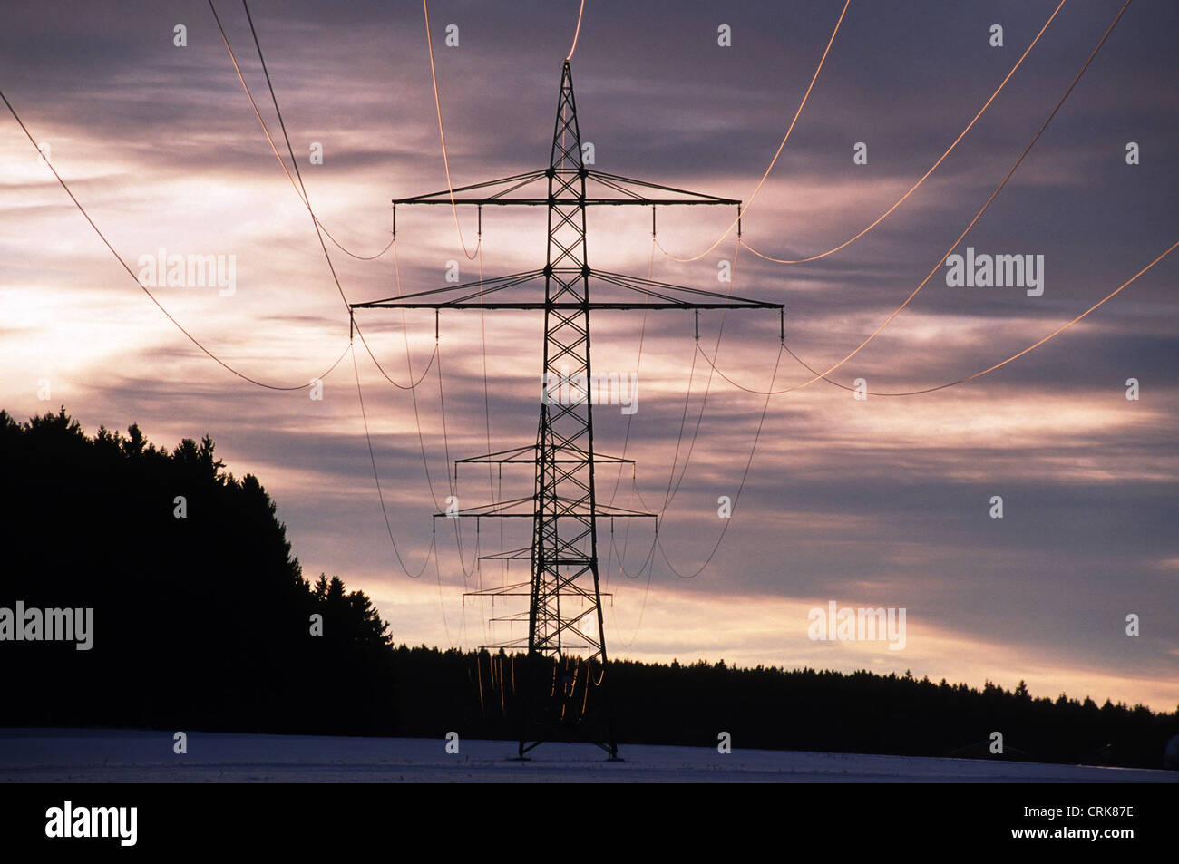 Power poles in the sunset light Stock Photo - Alamy