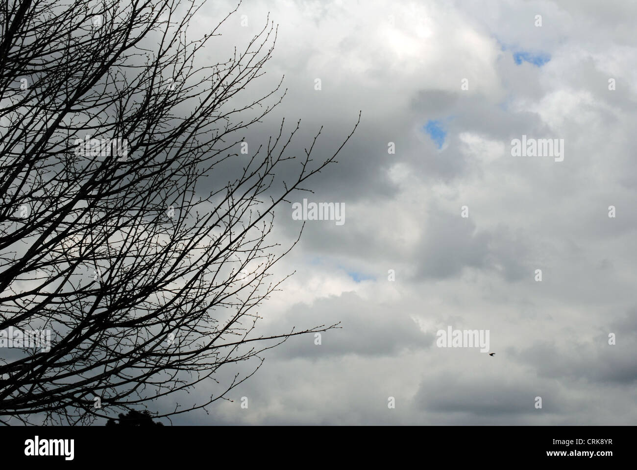 Sky rain clouds hi-res stock photography and images - Alamy