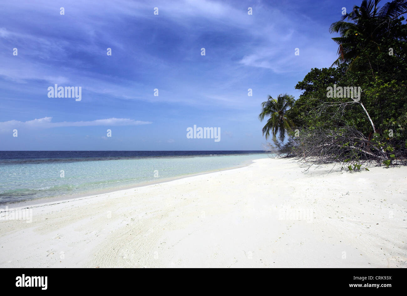 Embudu beach in the maldives. Stock Photo