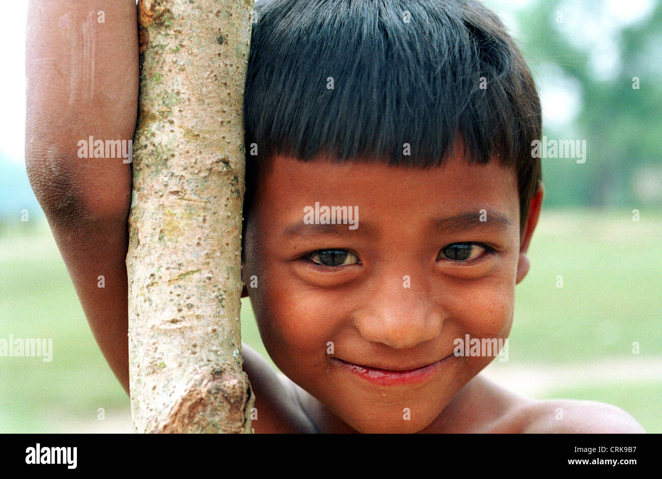 Boy with tree trunk in Nepal Stock Photo - Alamy
