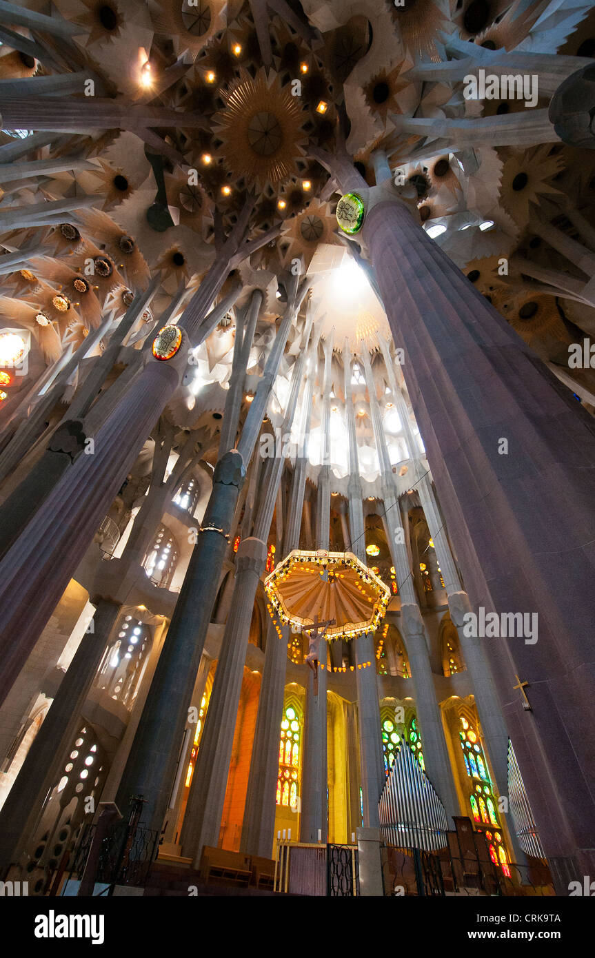 Sagrada familia ceiling hi-res stock photography and images - Alamy