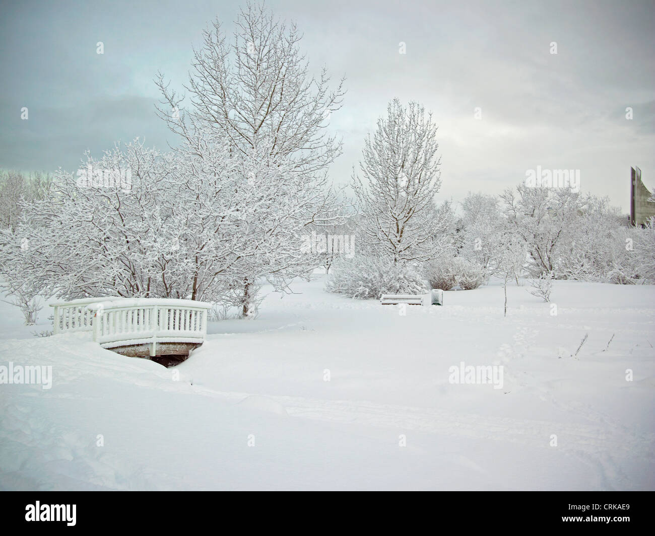 Trees and bridge in snowy landscape Stock Photo - Alamy