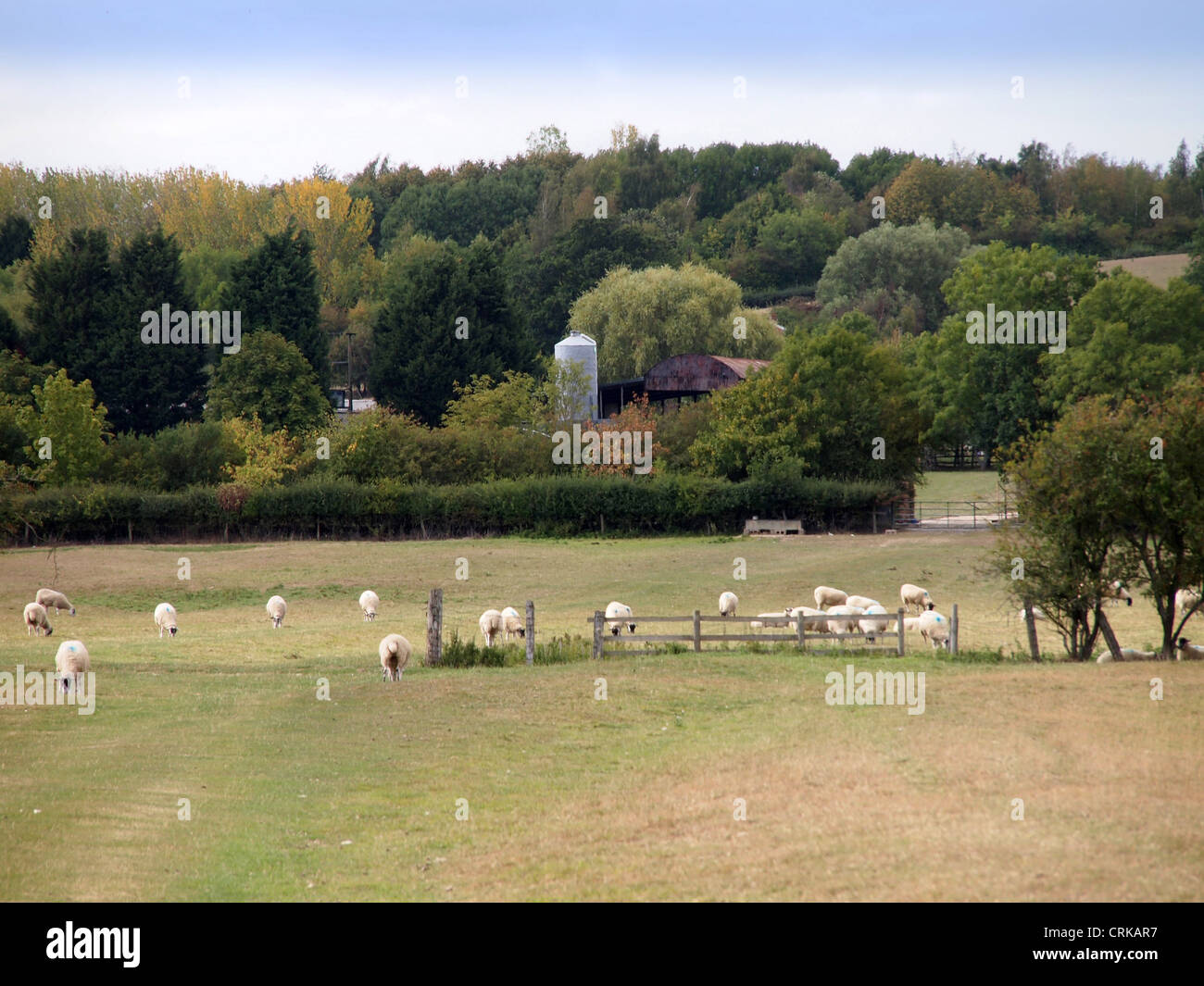 countryside picturesque scenery Stock Photo
