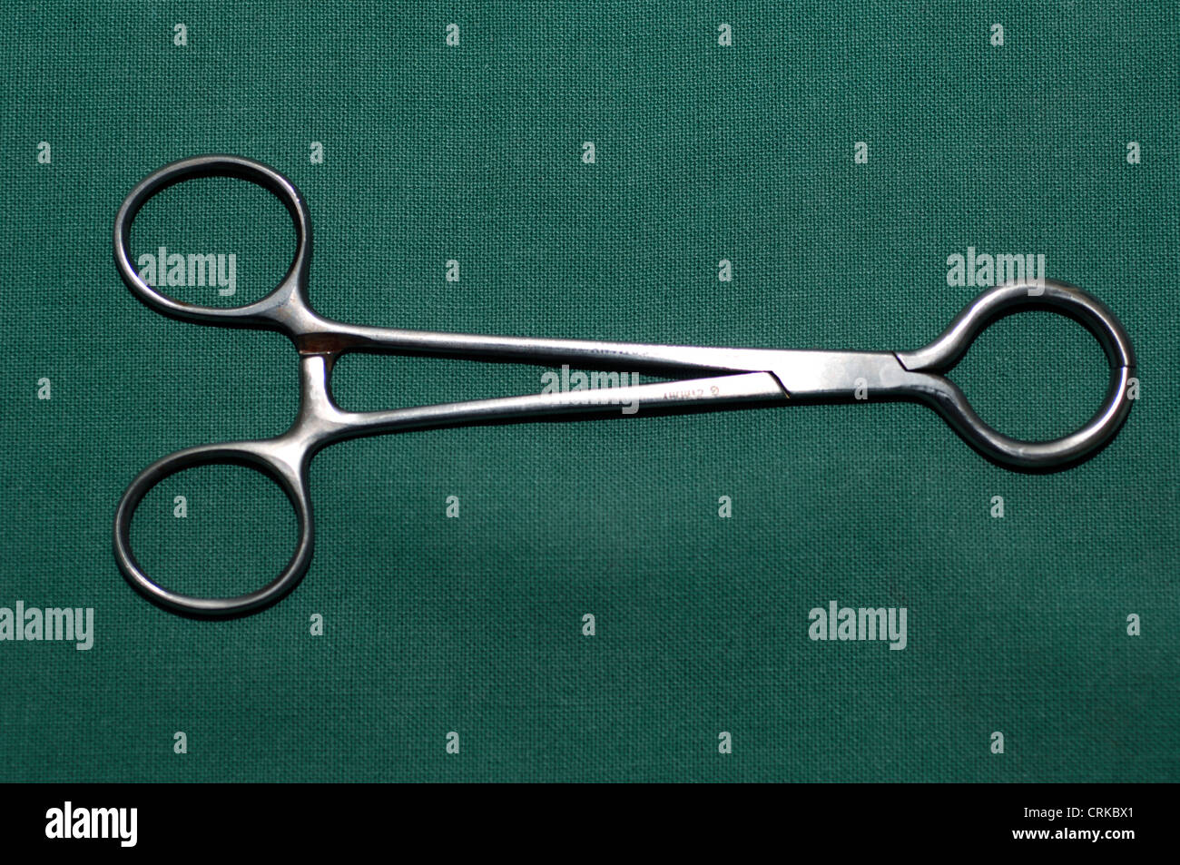 Ring forceps designed for use in hernia operations. Stock Photo