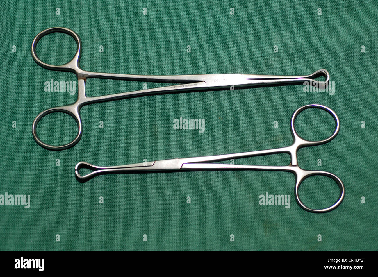 Babcock forceps are designed to hold a short length of intestine without compressing it. Stock Photo