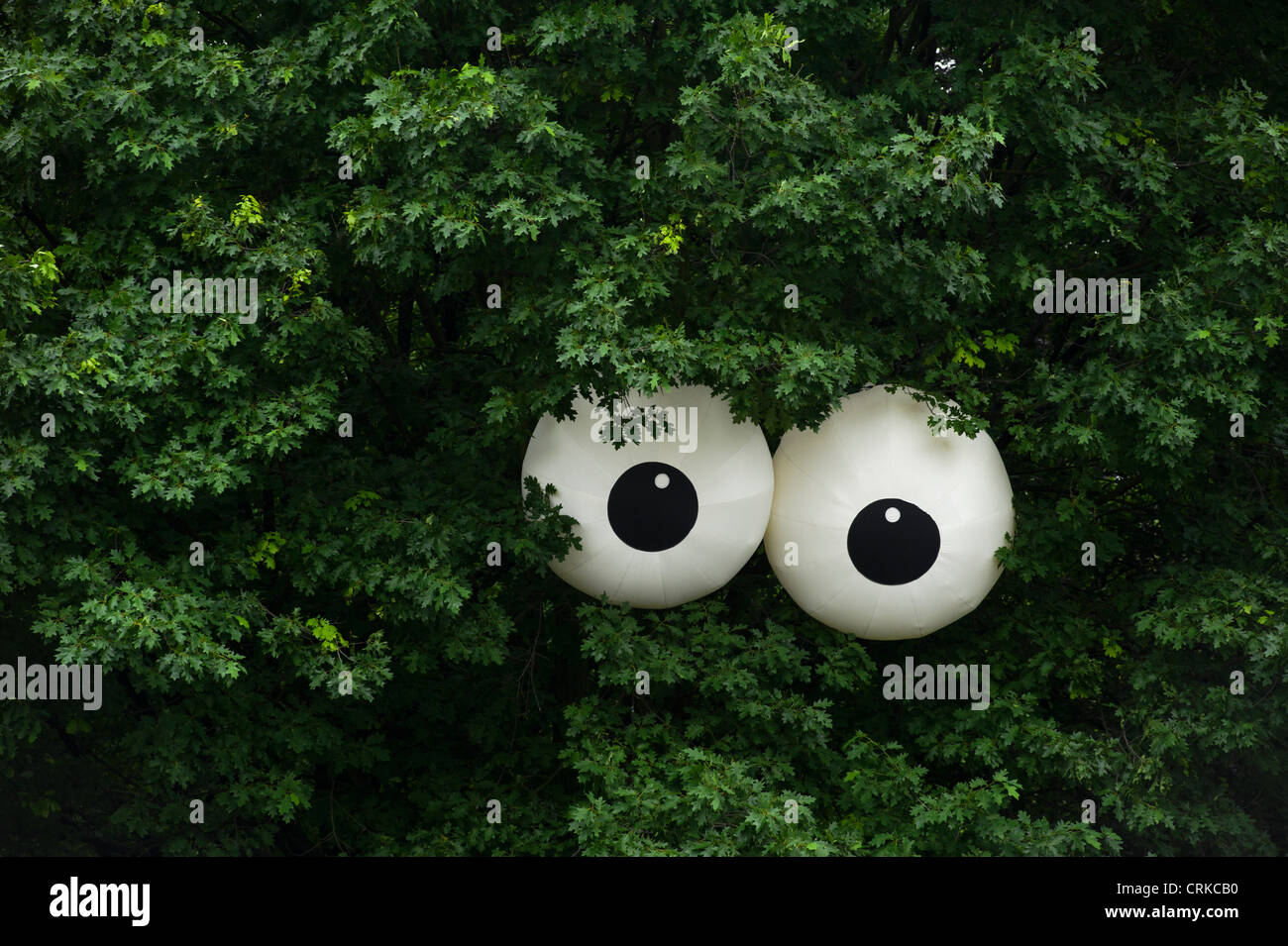 Big Brother like large eyes in a tree at the Jubilee Family Festival on