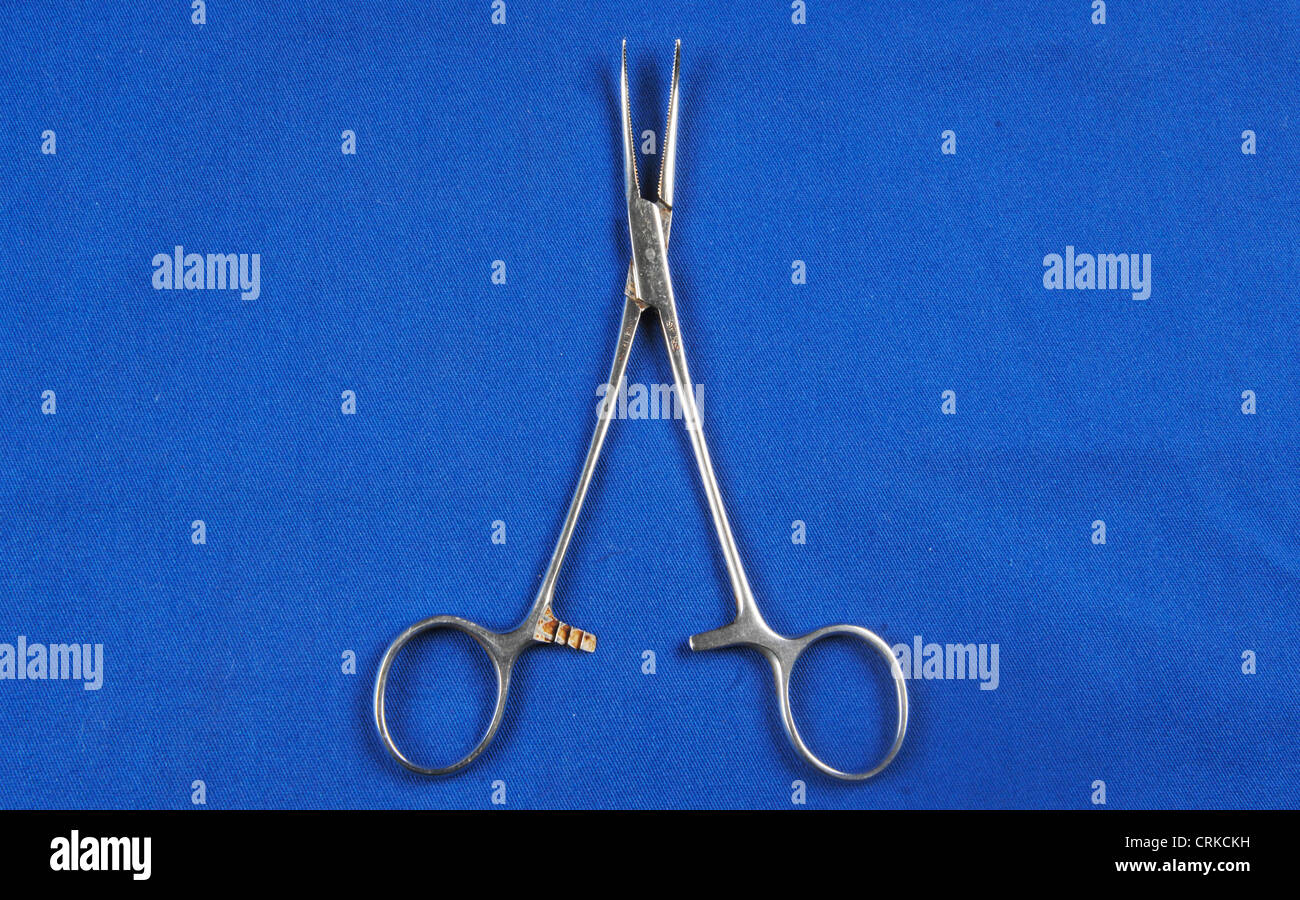 surgical clamp on blue background Stock Photo