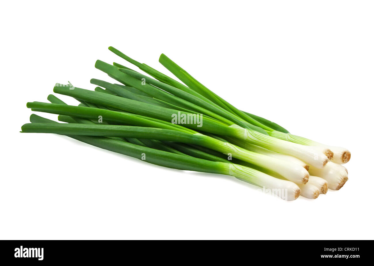 Green Onion on white background Stock Photo Alamy