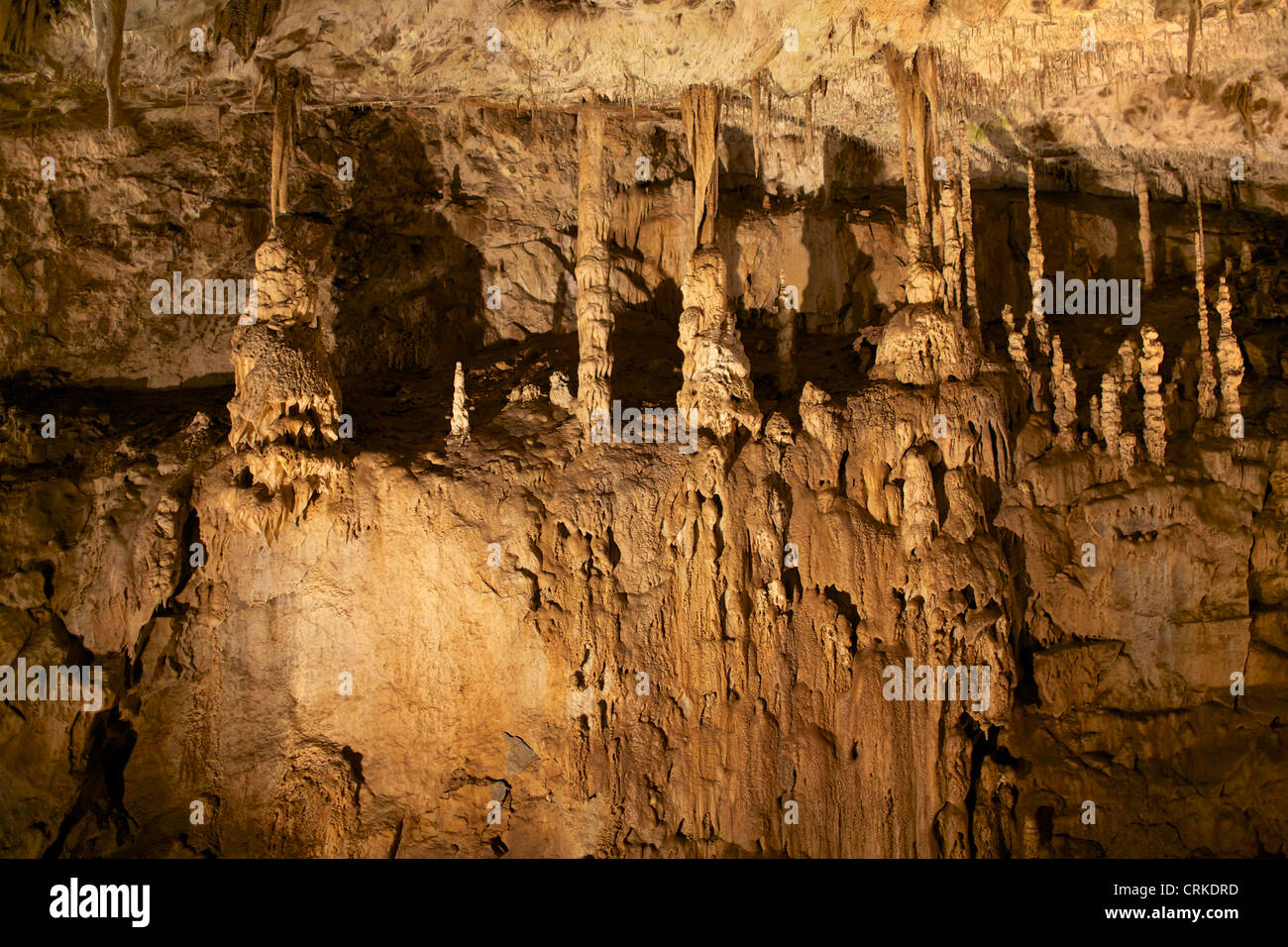 Stalactites, stalagmites and sinter forms in the cave Punkva, Moravian